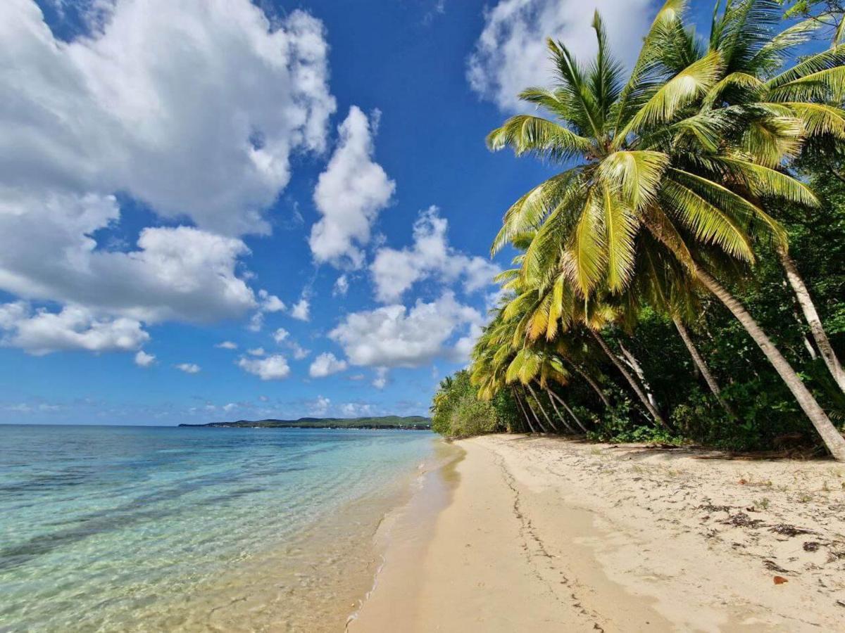 Manbana 333 Hotel Folle Anse Luaran gambar